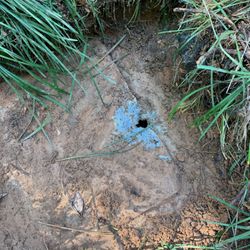 Budget Sewer Service