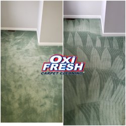 Oxi Fresh Carpet Cleaning