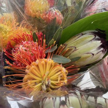 Manoa Farmers' Market - Farmers Market Near Me - Honolulu, Hawaii Manoa Farmers' Market - Farmers Market Near Me - Honolulu, Hawaii