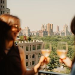 1 Hotel Central Park - Views of Central Park