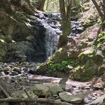 Uvas Canyon County Park - Parks Near Me - Morgan Hill, California