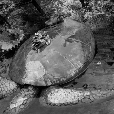 Ghirardelli Square by null