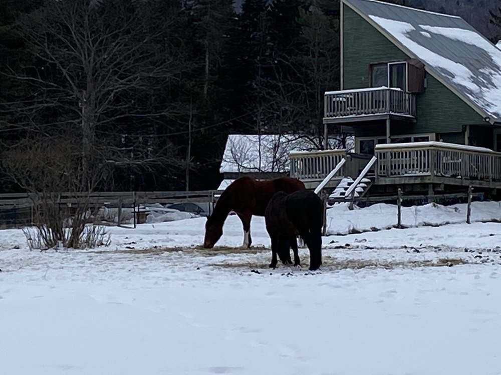 BLUEBERRY LAKE CROSS COUNTRY & SNOWSHOEING CENTER Updated September