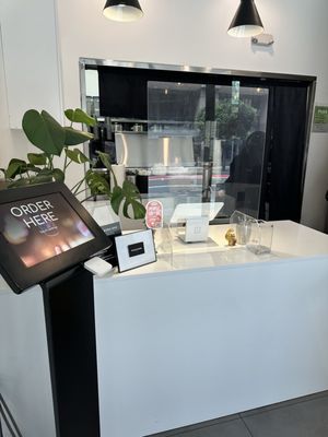 Black Sugar - Boba Bar by null