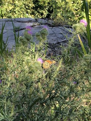 Fort Lee Historic Park, Palisades Interstate Park Commission by null