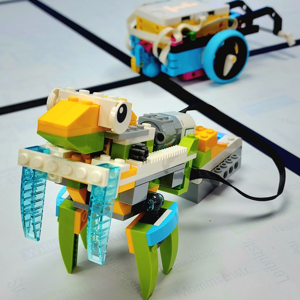Zebra Robotics - Praying Mantis - Summer Camps Near Me - Toronto, Ontario