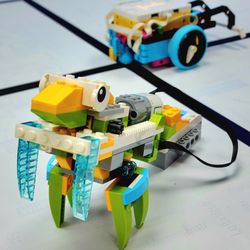 Zebra Robotics - Praying Mantis