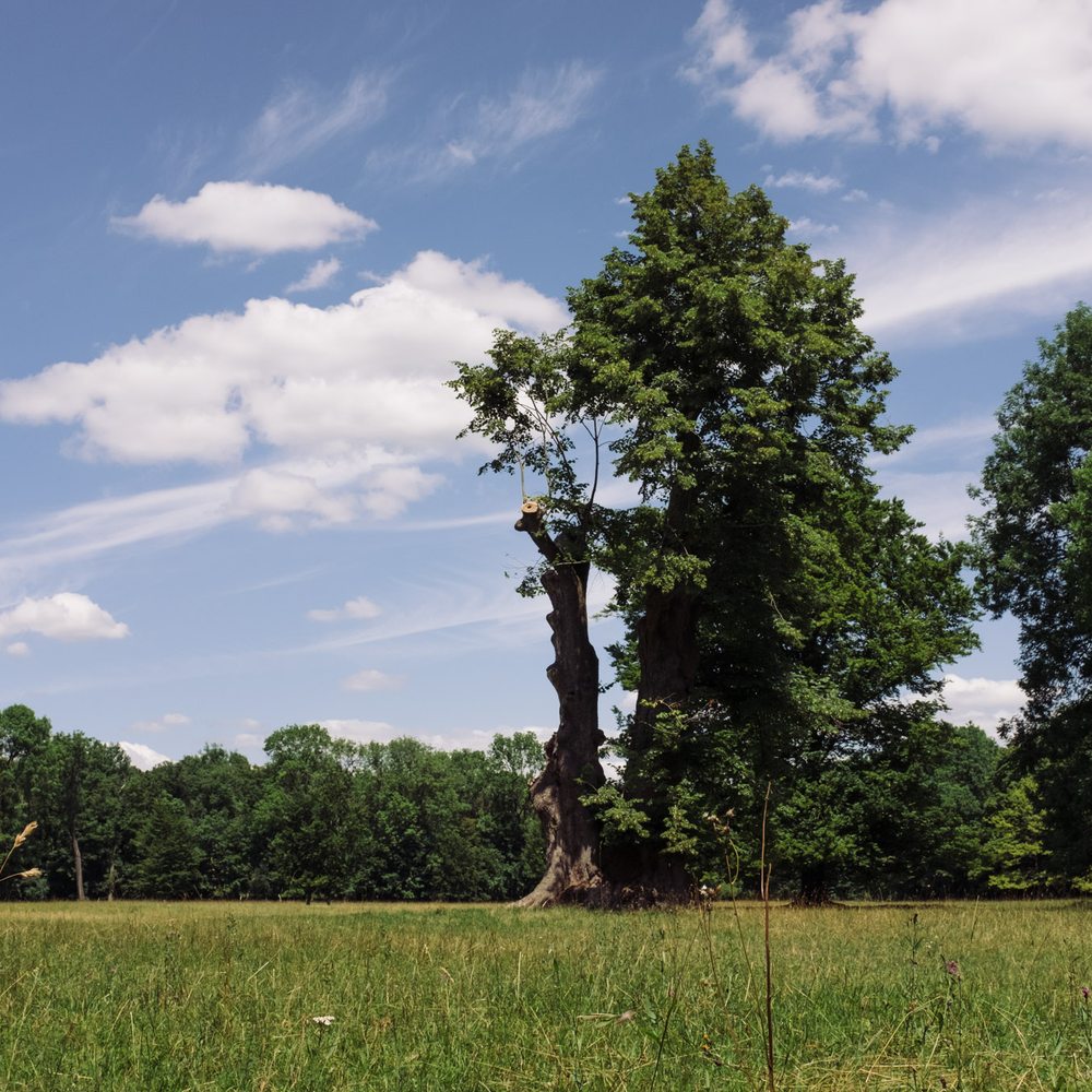 Englischer Garten - Parks Near Me - Munich, BY Englischer Garten - Parks Near Me - Munich, BY