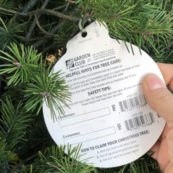 Santa's Forest Christmas Tree Farm