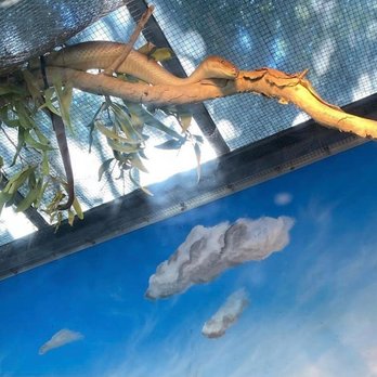 Taronga Zoo - Zoos Near Me - Mosman, NSW