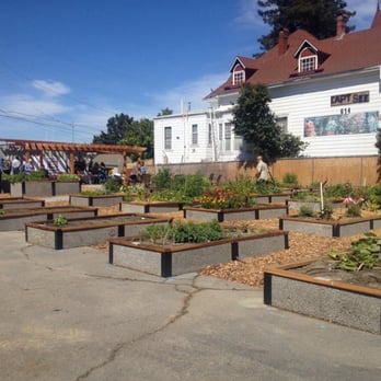 St Vinnie's Community Garden - Amazing program! - Community Gardens Near Me - Vallejo, California St Vinnie's Community Garden - Amazing program! - Community Gardens Near Me - Vallejo, California