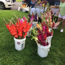 Farm & Craft Market - Gorgeous flowers at the Saturday market in Hamilton!