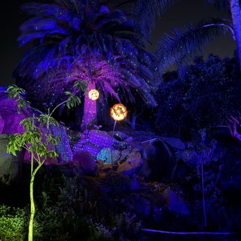 Firefly Grove - Farms Near Me Firefly Grove - Farms Near Me
