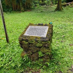 Ke'anae Arboretum