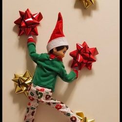 Tony Petrozzella - State Farm Insurance Agent - Wonder if I can reach the top!