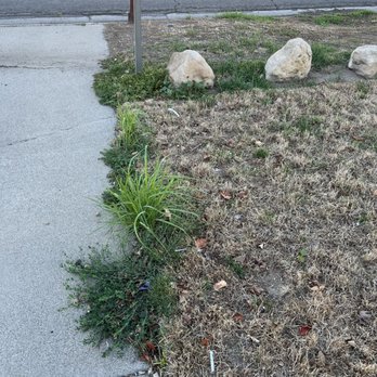 Weed Man - dead grass and weeds - Pest Control Near Me - Bluffdale, Utah Weed Man - dead grass and weeds - Pest Control Near Me - Bluffdale, Utah