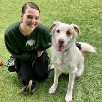 It's A Dog's World K-9 Academy - Huckleberry with his favorite trainer in the world! We love Danielle! She has whipped him into shape so quickly. - Pet Training Near Me - Glendora, California
