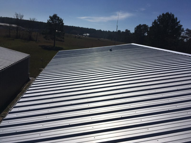 Slide of The Thrashers