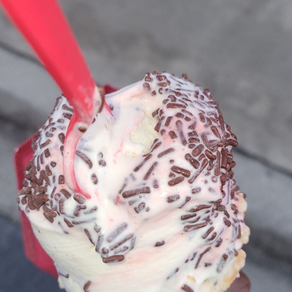 Bruster's Real Ice Cream - Strawberry cheesecake/ Nutty Coconut - Ice Cream & Frozen Yogurt Near Me - Florence, South Carolina