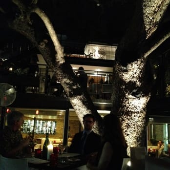 Olive & June - The patio at night - Italian Near Me - Austin, Texas Olive & June - The patio at night - Italian Near Me - Austin, Texas