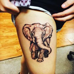 Elephant tattoo done by Mitchell Pope, Inbox For Booking