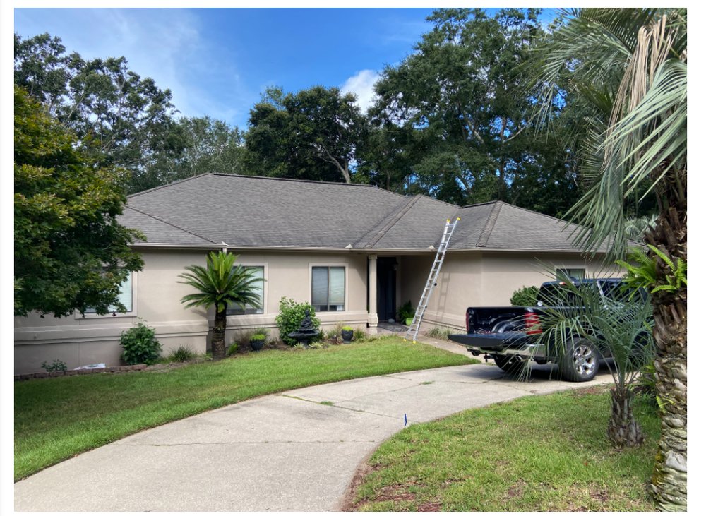 Slide of Palm Tree Roofing