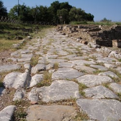 Area archeologica di Roselle - Römerstraße: man beachte die Spurrillen der Fuhrwerke