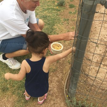River Ridge Guest Ranch LLC - Feeding the chickens with Kim! - Bed & Breakfast Near Me - Palominas, Arizona River Ridge Guest Ranch LLC - Feeding the chickens with Kim! - Bed & Breakfast Near Me - Palominas, Arizona