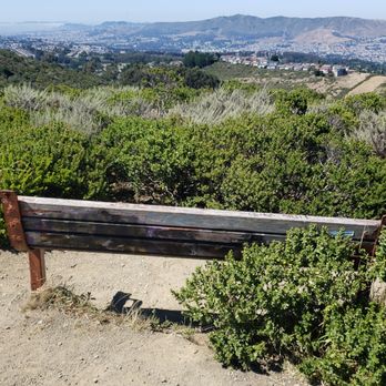 Sweeney Ridge - A Bench! - Parks Near Me - San Bruno, California