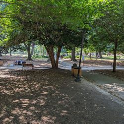 Nash Square