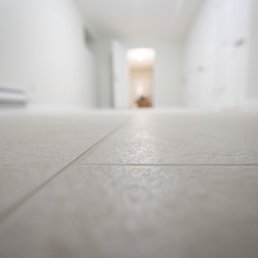 Terraform Construction - an empty hallway with a cat on the floor - General Contractors Near Me - Brooklyn, New York