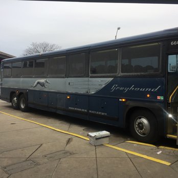 Greyhound Bus Lines - Buses Near Me - Washington, DC, District of Columbia Greyhound Bus Lines - Buses Near Me - Washington, DC, District of Columbia