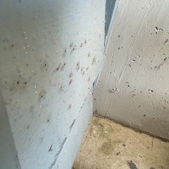 EcoShield Pest Solutions - Pest Control Near Me - Tukwila, Washington EcoShield Pest Solutions - Pest Control Near Me - Tukwila, Washington