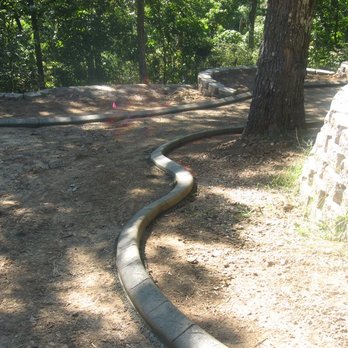 Double Coverage Sprinkler - a tree lined path - Landscaping Near Me - Lakewood, Colorado