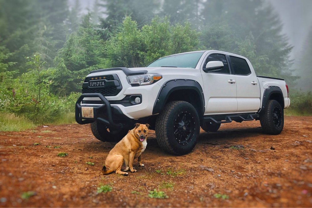 LITHIA TOYOTA OF SPRINGFIELD 40 Photos & 155 Reviews 163 S 9th St