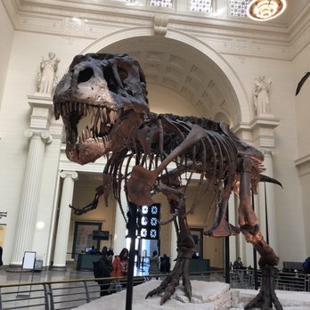 Field Museum - Museums Near Me - Chicago, Illinois Field Museum - Museums Near Me - Chicago, Illinois