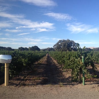 Firestone Vineyard - Beautiful vineyards - Wine Tasting Room Near Me - Los Olivos, California