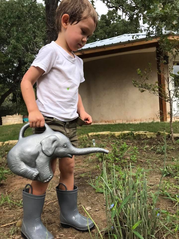 Wild Life Forest Preschool - childcare center in Bastrop, TX