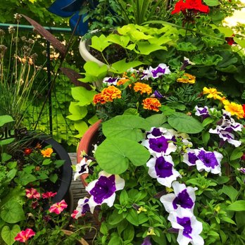 Ann Arbor Bed and Breakfast - Bed & Breakfast Near Me - Ann Arbor, Michigan