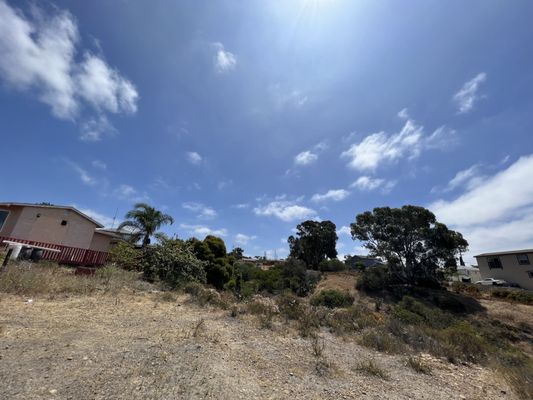 Tecolote Canyon Natural Park and Nature Center by null
