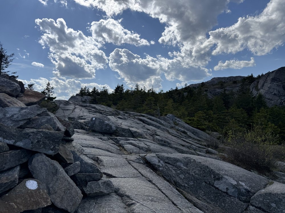 Monadnock State Park Logo
