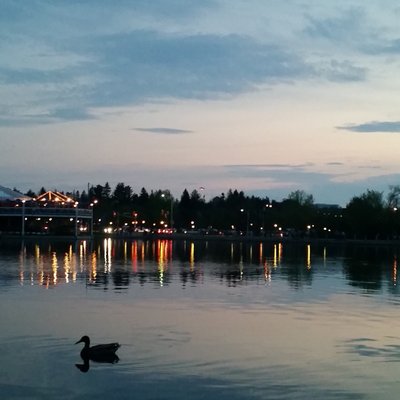 Dows Lake Pavilion by null