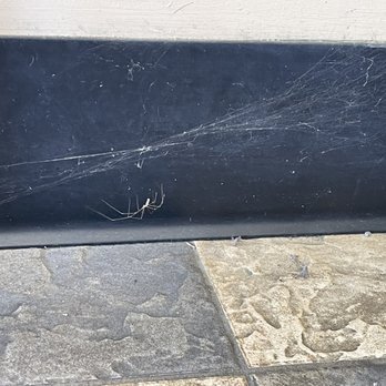 Del Taco - Giant spider and spiderwebs right next to our table. - Mexican Near Me - Santa Paula, California