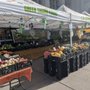 Photo of Green Thumb Organics Farms