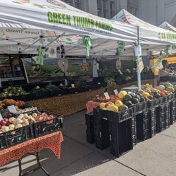 Green Thumb Organics Farms - Ferry farmers market, 11/19/24