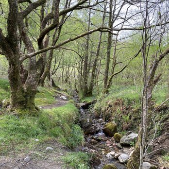 Glencoe Visitor Centre - Visitor Centers Near Me - Ballachulish, HLD