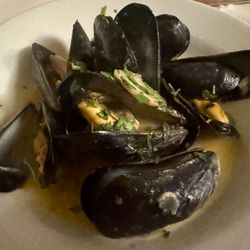 Molto Bene - Delicious Mussels