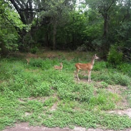 Hey look! It's moms and her two babies! Hey look! It's moms and her two babies!