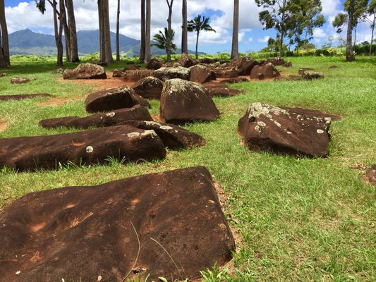Kukaniloko Birth Stones by null