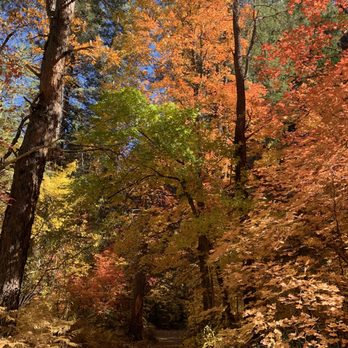 West Fork Trail - Hiking Near Me - Sedona, Arizona
